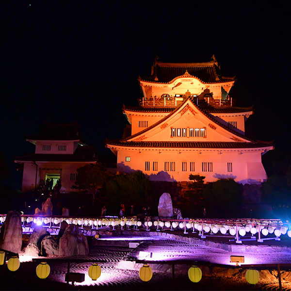 八陣光の庭<br>～岸和田城で歴史と光のアートを楽しもう～